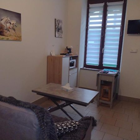 Appartement Rdc Chez Caroline Bourbonne-les-Bains Exterior foto